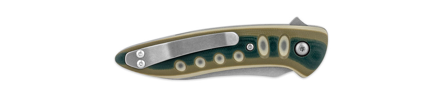 Saddleback Glory Folder - Lichen
